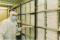CD-Produktion Swindon - EMI Compact Disc Services [Archiv der Matritzen]